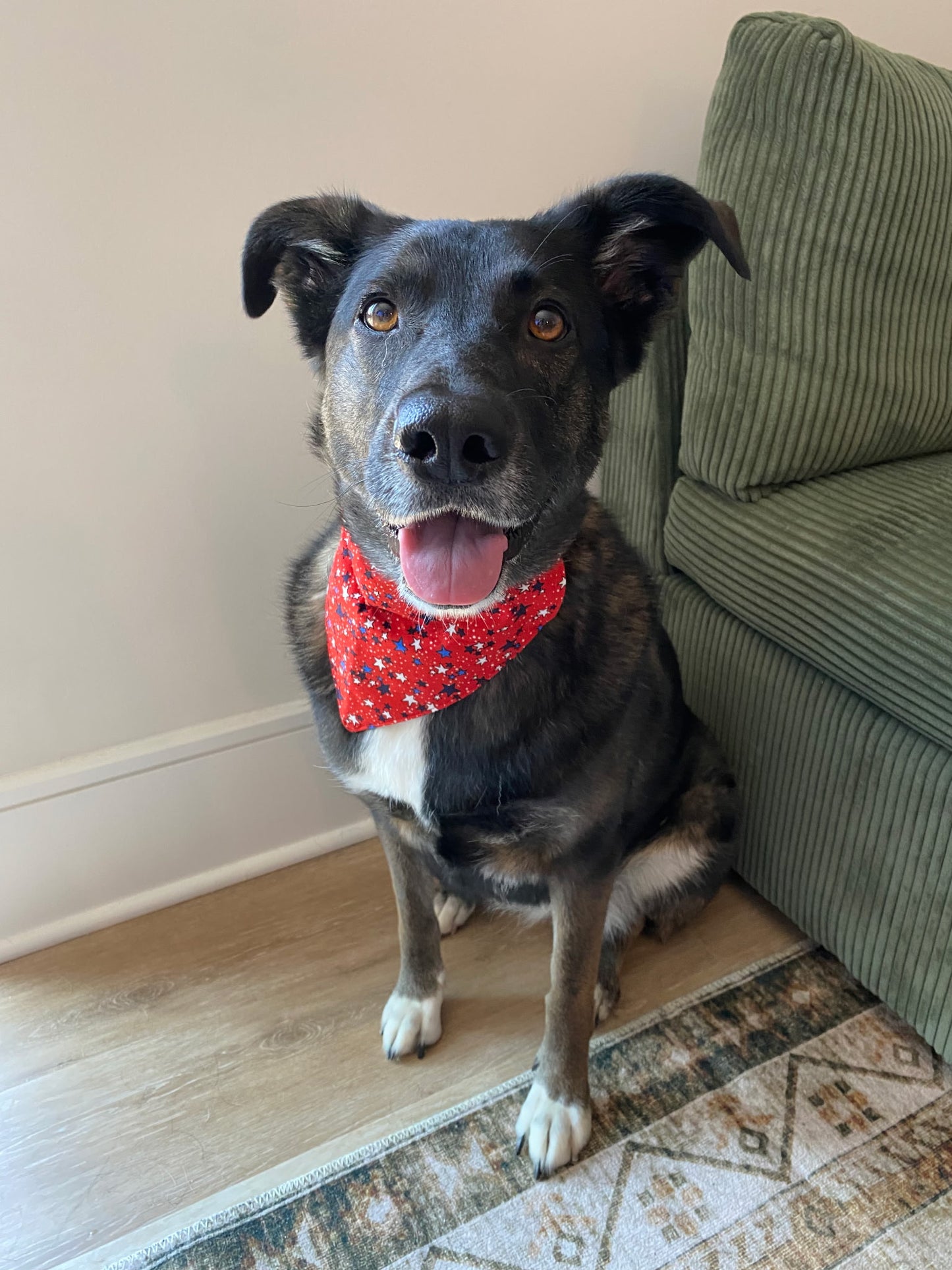Red, White, and Chew