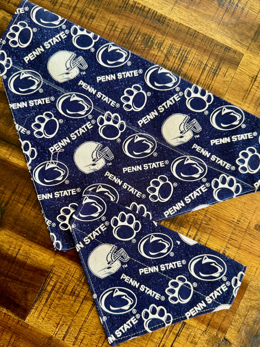 Nittany Navy