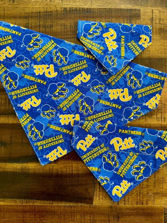 Hail 2 Pitt